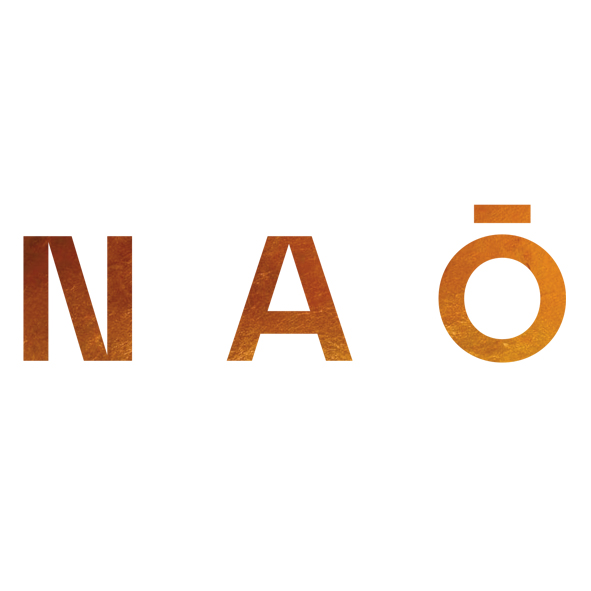  Logo Nao